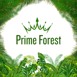 Prime Forest